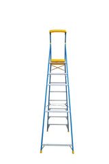 Bailey Ladders Pro Fibreglass PFS8 170kg Industrial Punchlock - 2.4m