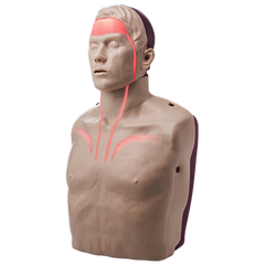 Aero Healthcare BRAYDEN PRO CPR Manikin (Bluetooth Connectivity)