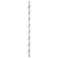 Petzl Parallel Rope 10.5Mm White 100M
