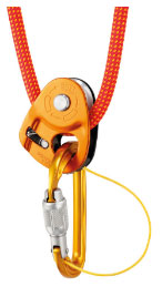 Petzl Black SM'D Screw Lock Aluminum Carabiner (M39ASLN)