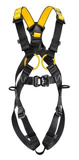 Petzl Newton (European Version)