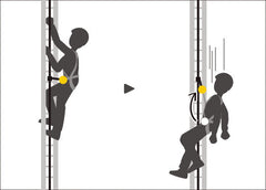 Petzl Volt (European Version)