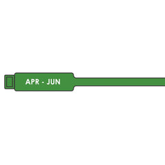 (Pack of 100) 175mm Quarterly Inspection Tags