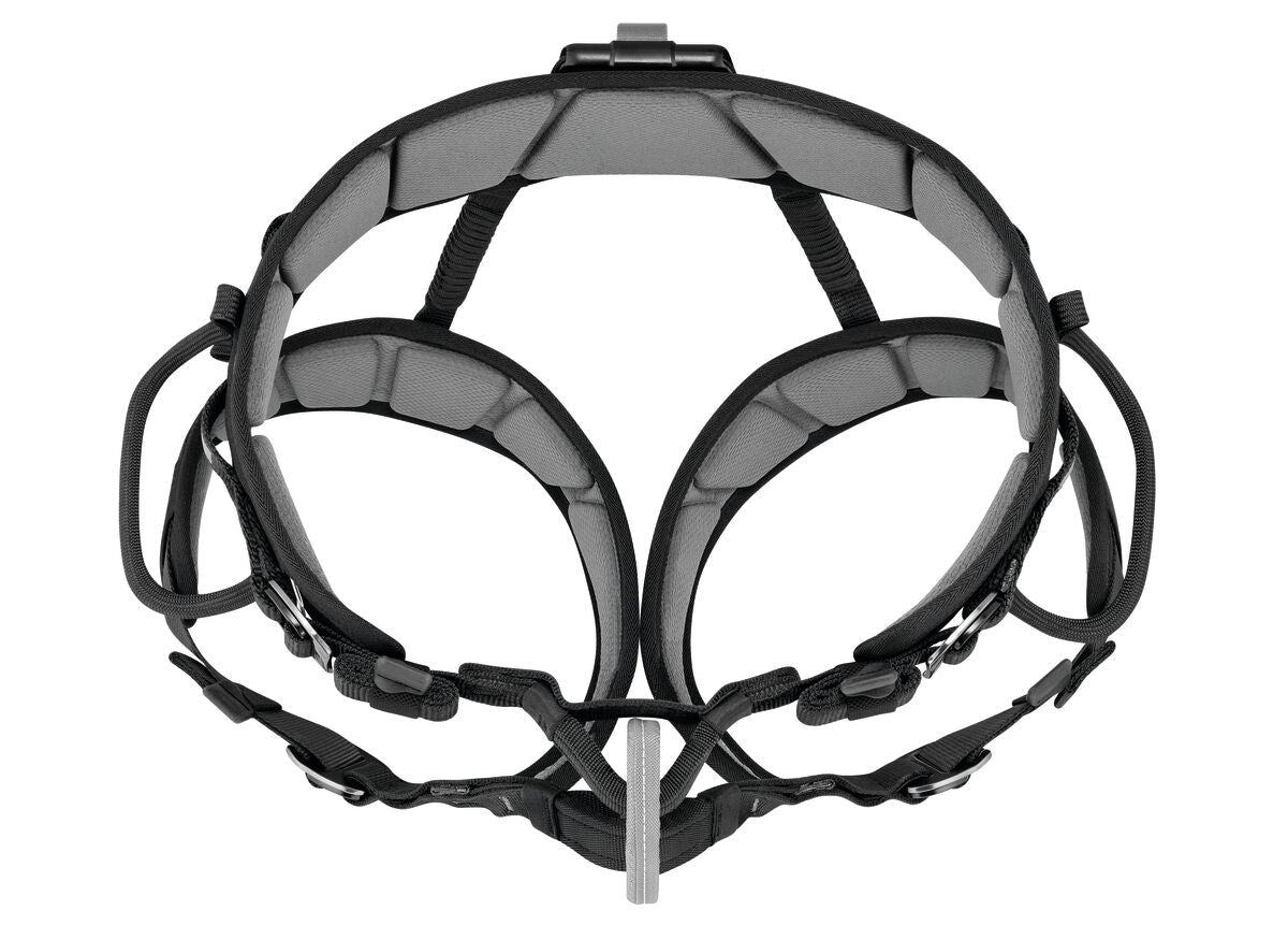 Petzl Falcon Mountain