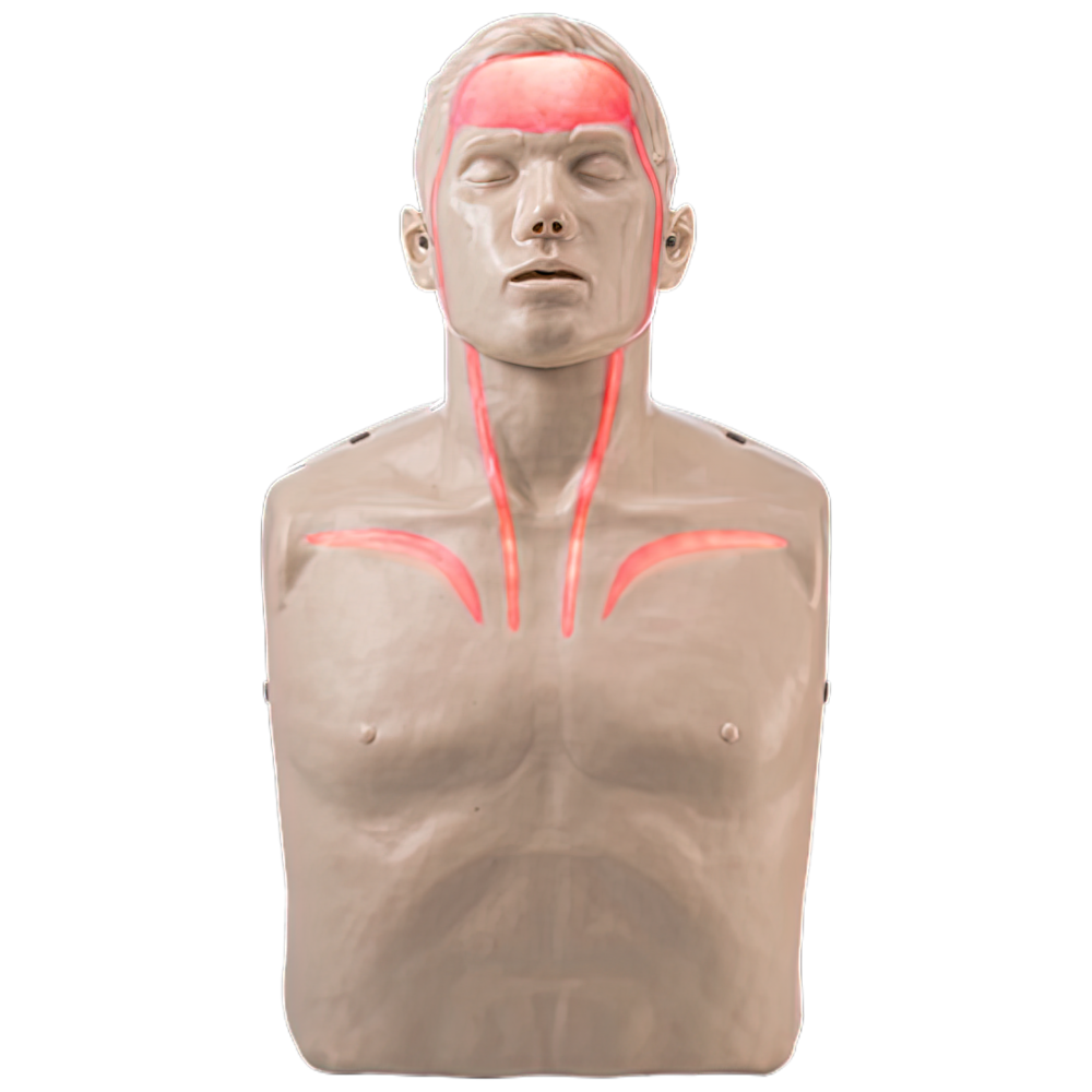 Aero Healthcare BRAYDEN Pulse CPR Manikin (With Lights)