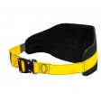 Waist Belt for working in Restraint. Quick connect buckle, rear D Ring, Back Pad.pic1.JPG