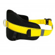 Waist Belt for working in Restraint. Quick connect buckle, rear D Ring, Back Pad.pic2.JPG