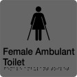 180x180mm - Braille - Silver PVC - Female Ambulant Toilet (BTS013B)