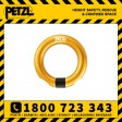 Petzl Ring Open Multi-Directional Gated Ring (P28)