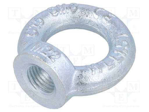 22mm Eye Nut With Collar, DIN582, Metric Threads(602022)