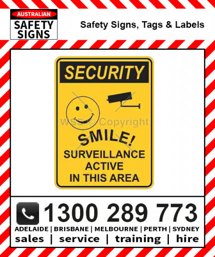 SECURITY SMILE AND CAMERA Metal / Self Stick Vinyl (Pack of 5)