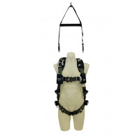 ExoFit NEX™ Riggers Harness with Dorsal-linq spreader.jpg