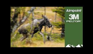 Majestic Swedish Moose Hunt